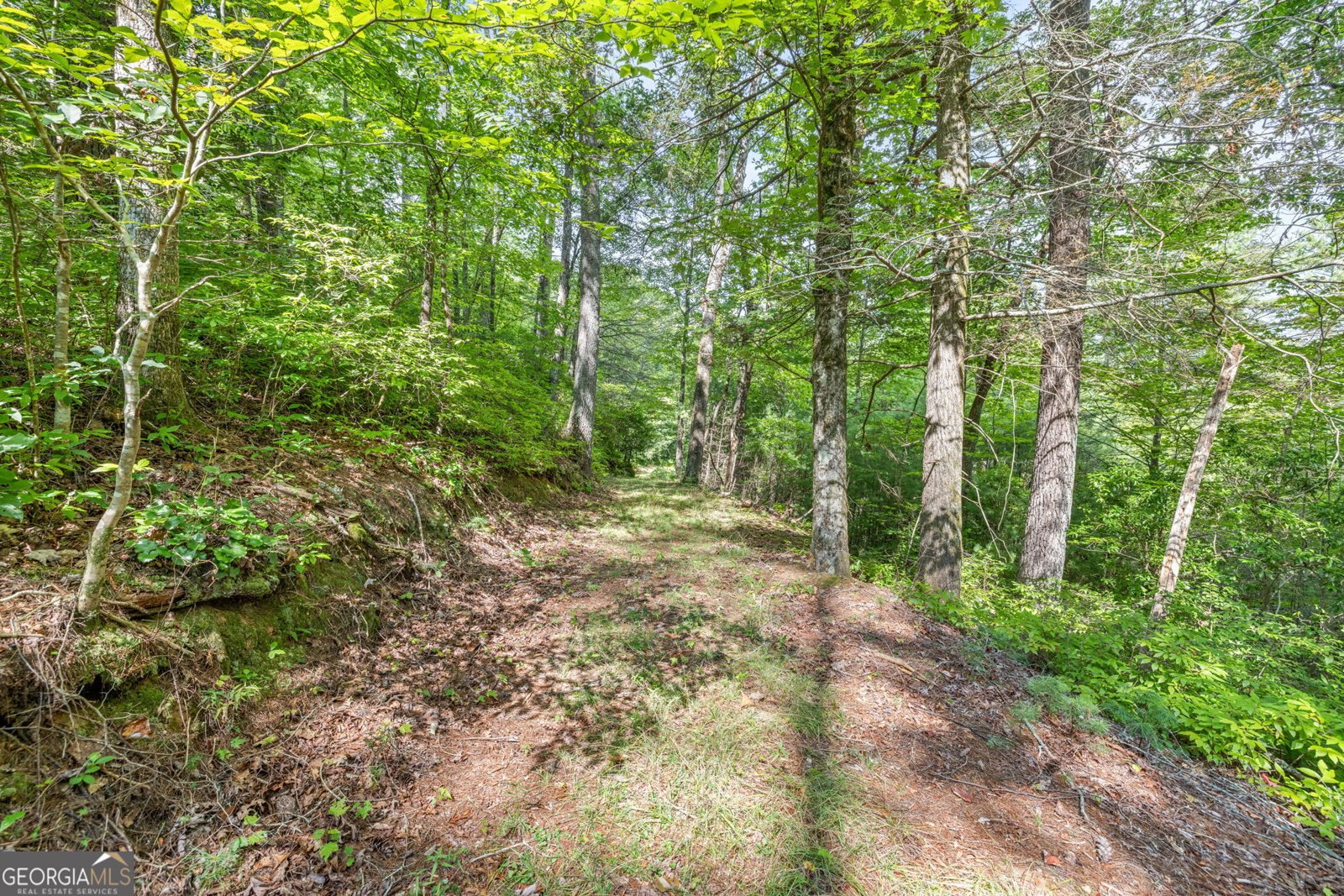 275 Corinth Church Road Cleveland - 48