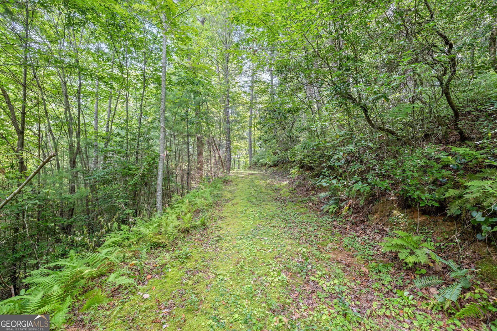 275 Corinth Church Road Cleveland - 51