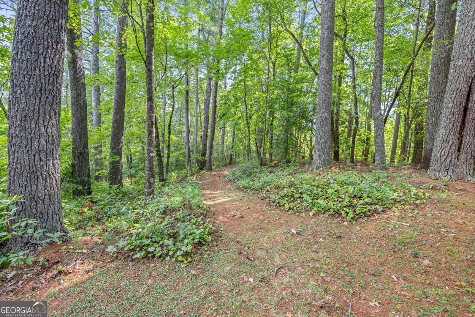 275 Corinth Church Road Cleveland - 54