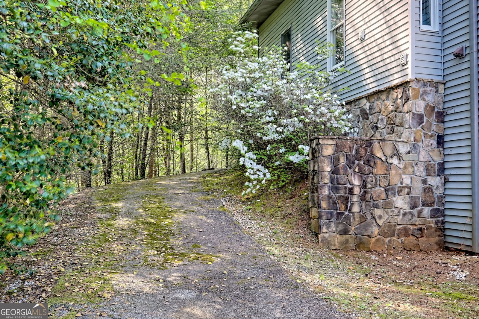 2841 Crow Creek Road Lakemont - 26