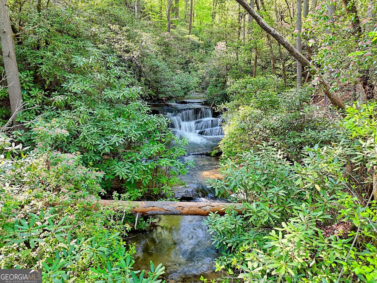 2841 Crow Creek Road Lakemont - 51