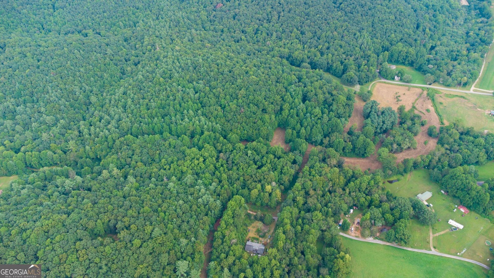 239 Glenn Elliott Road Suches - 14