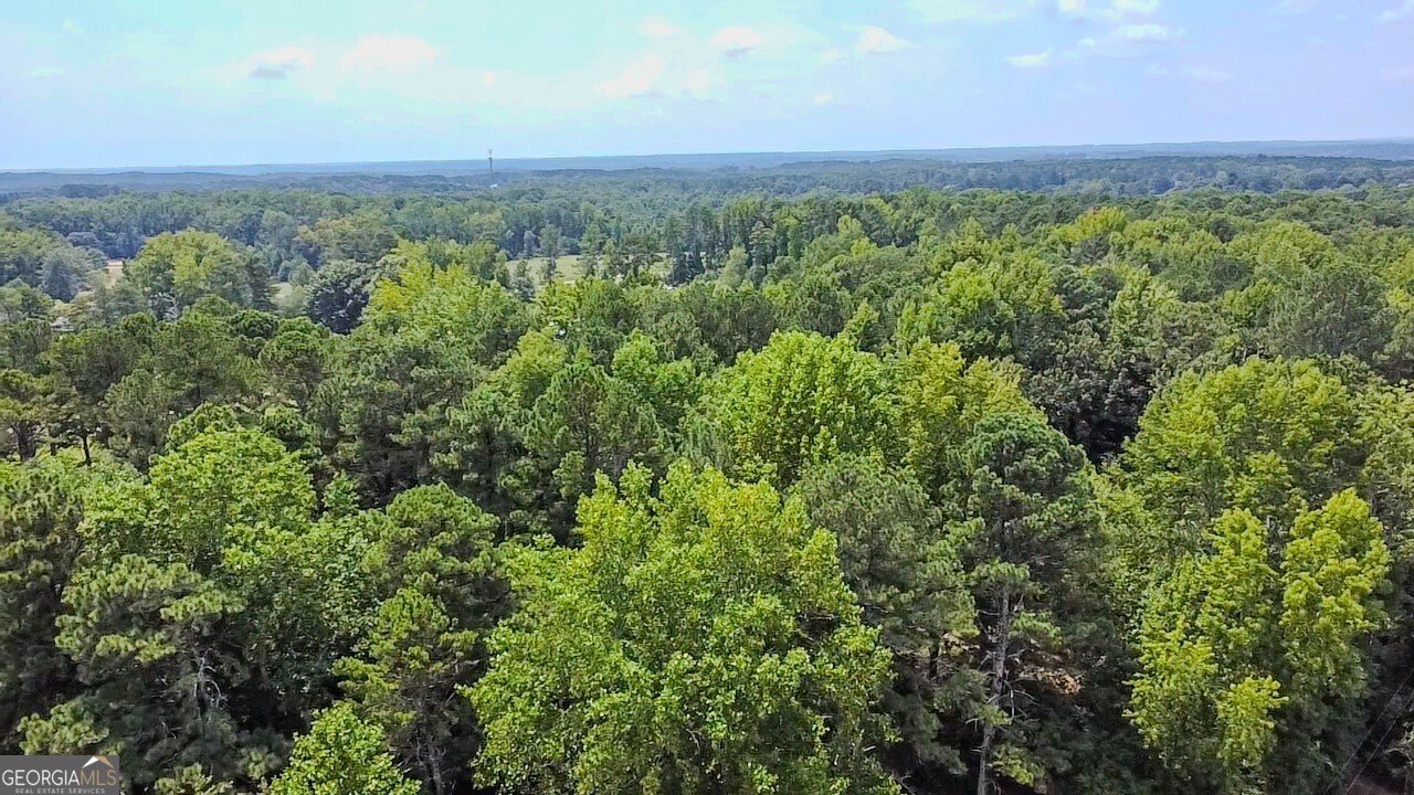 1072 Harbins Road Dacula - 15