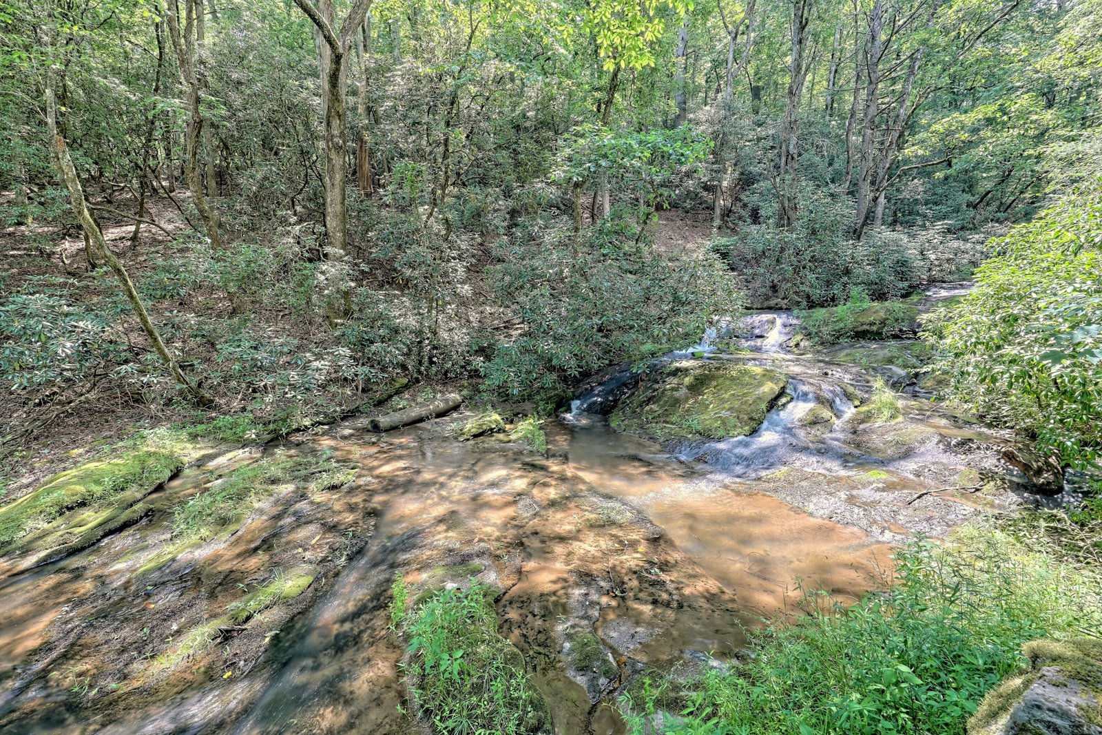 3622 Sandy Ford Road Clayton - 26