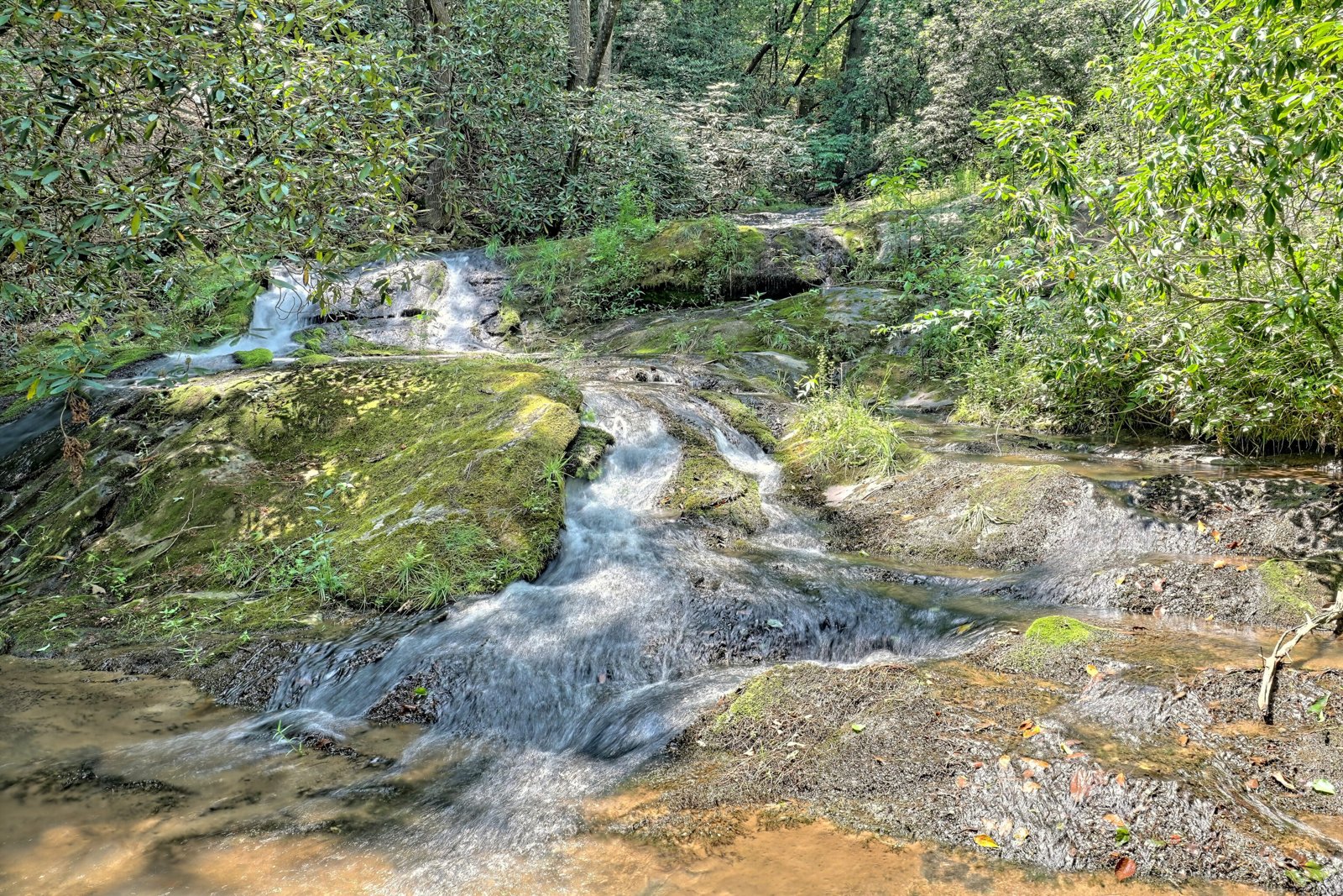 3622 Sandy Ford Road Clayton - 29