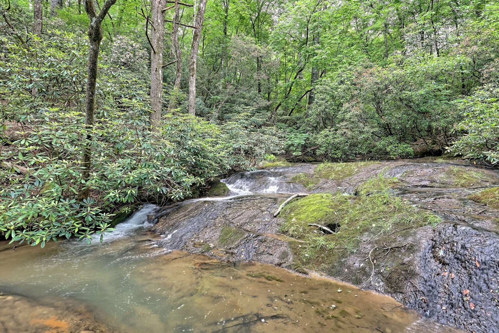3622 Sandy Ford Road Clayton - 97