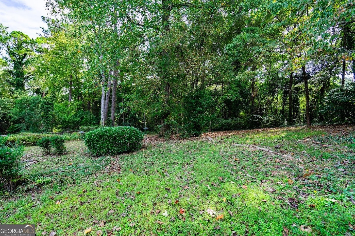 724 Camellia Drive LaGrange - 29