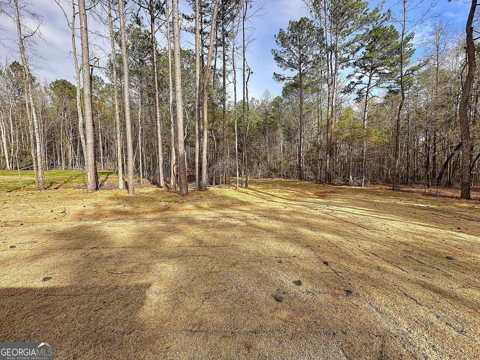 425 Mt Zion Church Road LaGrange - 26