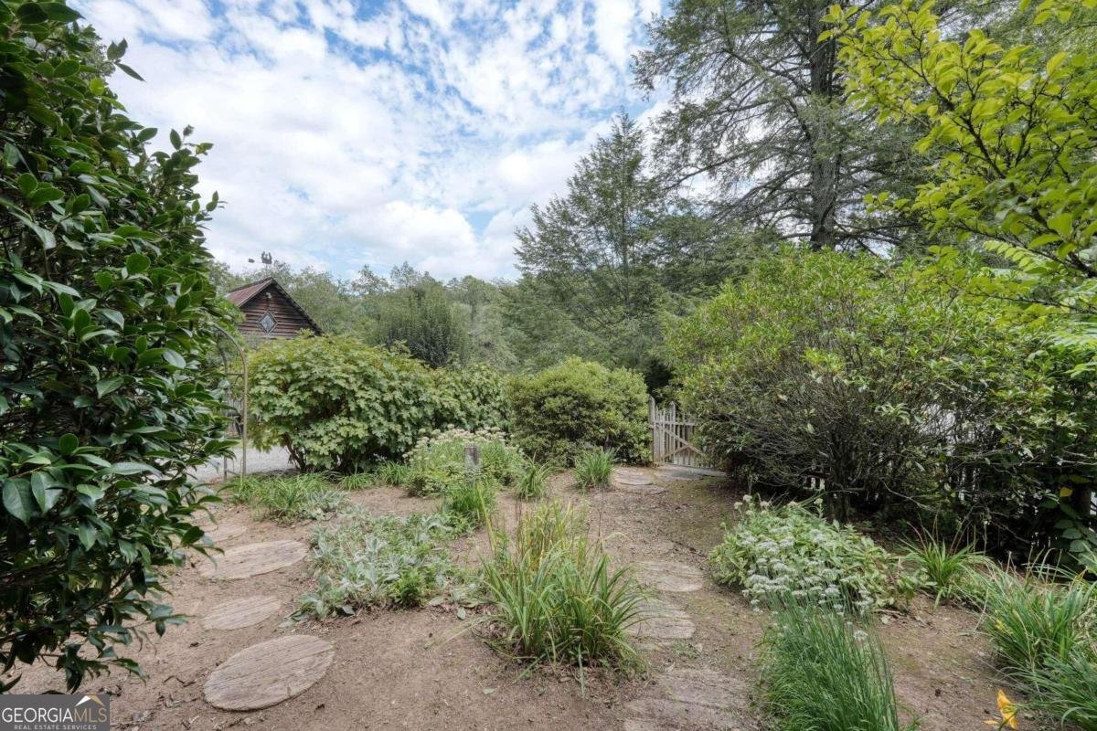 2350 Dial Road Blue Ridge - 49