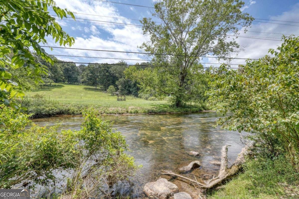 2350 Dial Road Blue Ridge - 56