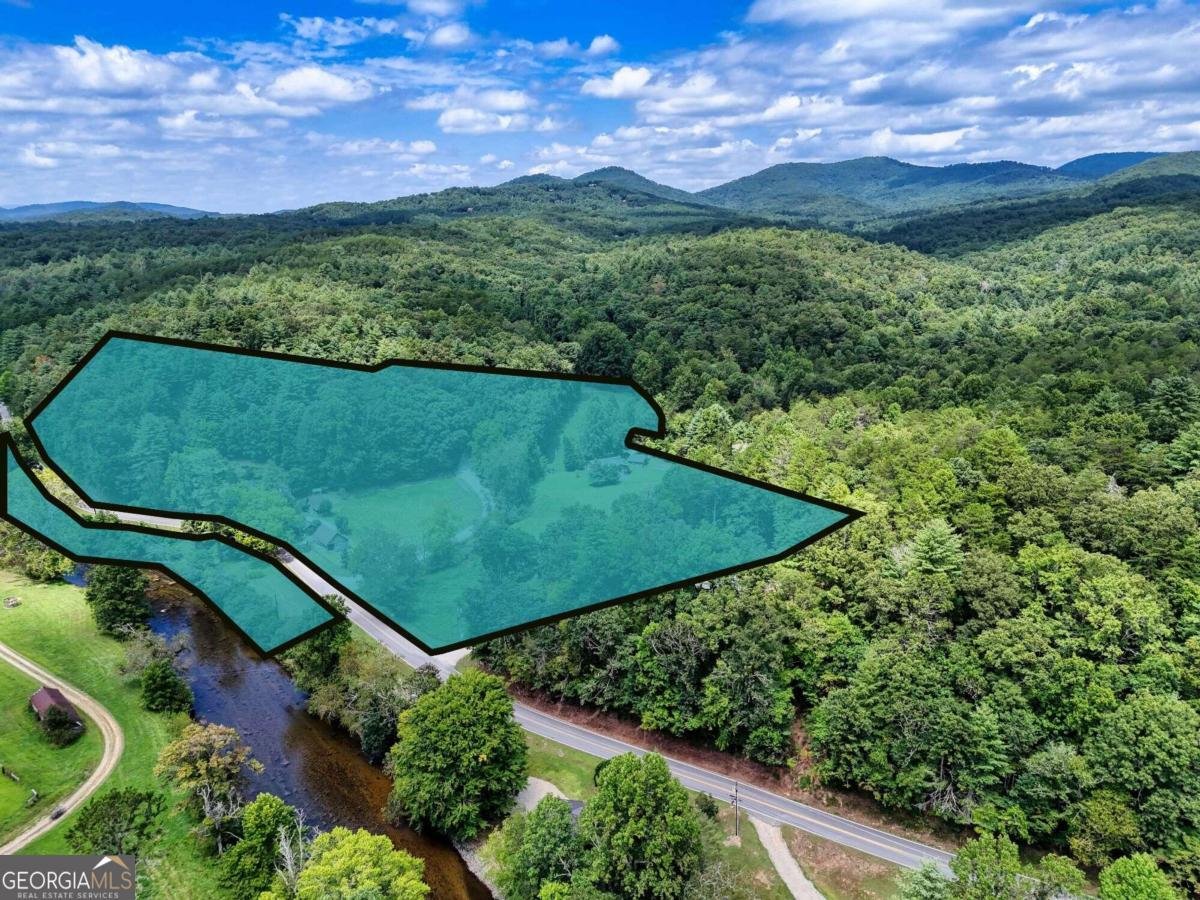 2350 Dial Road Blue Ridge - 78