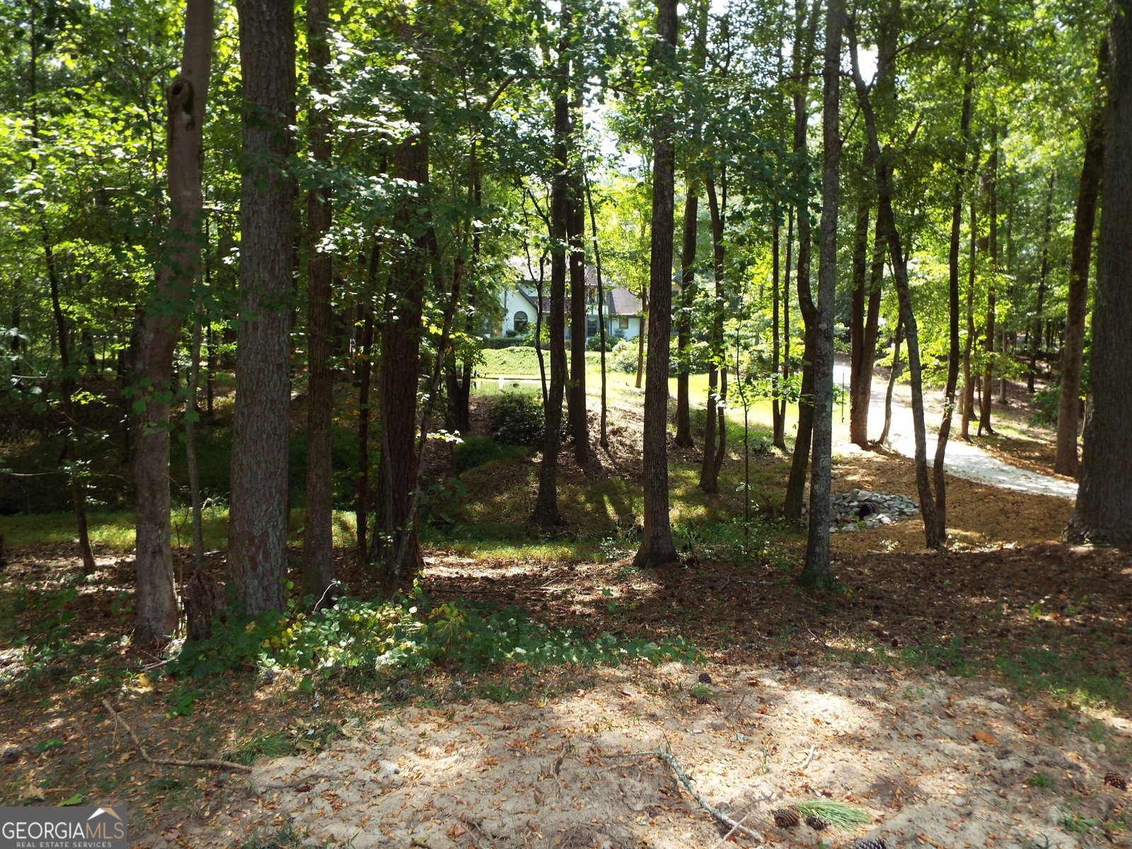 1145 Lake Stone Lea Drive Oxford - 39