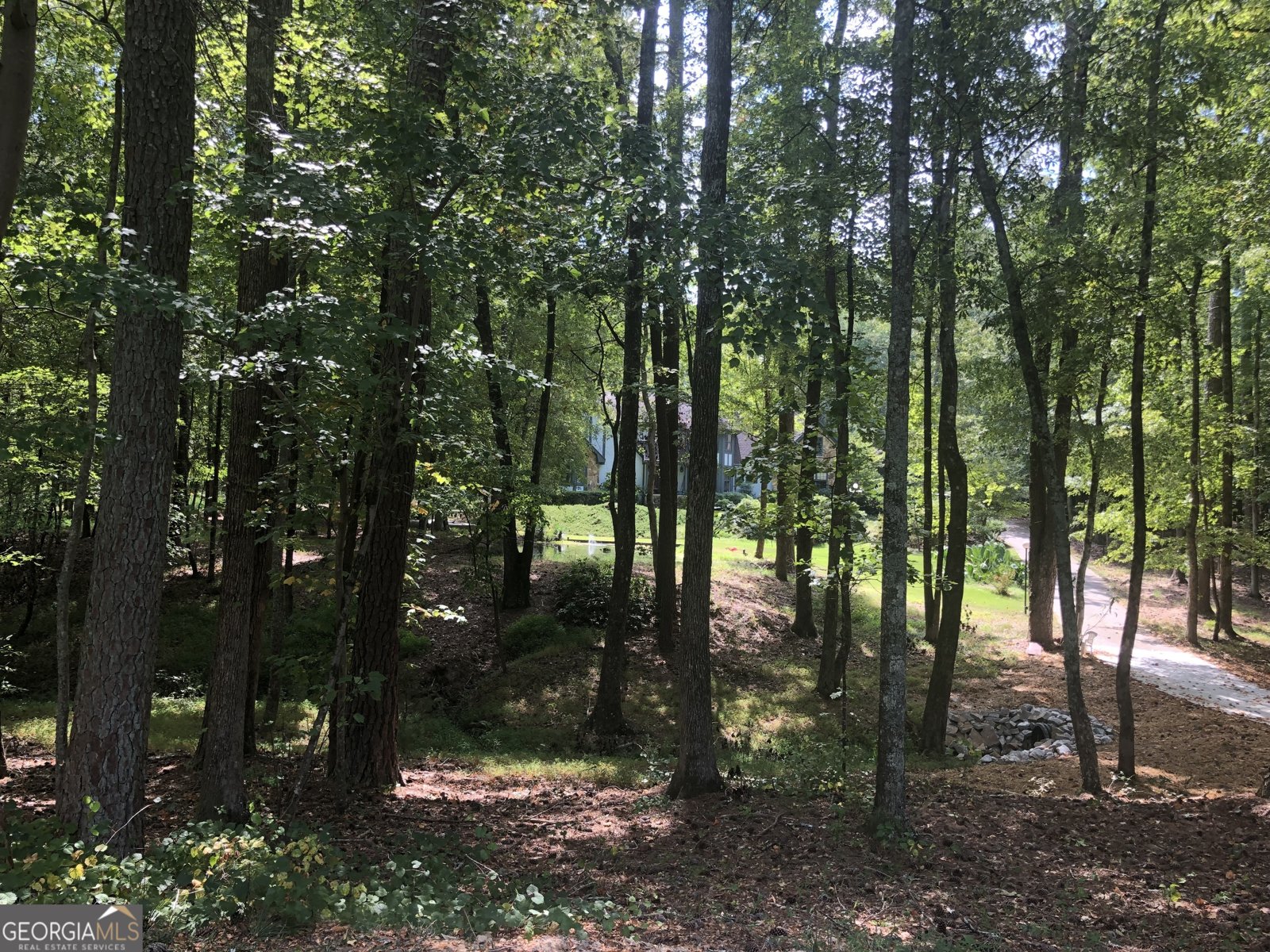1145 Lake Stone Lea Drive Oxford - 41