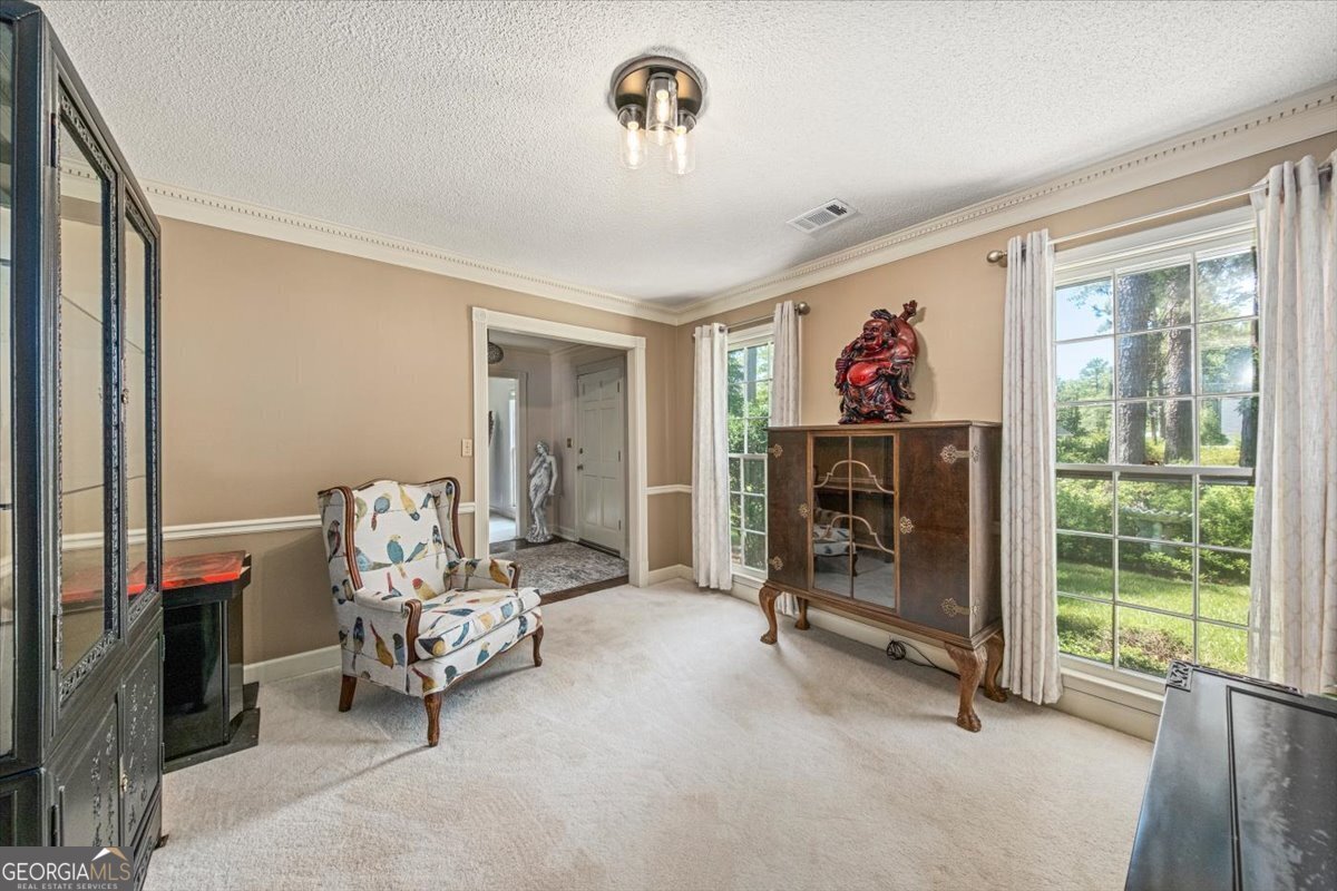 5369 Rivoli Drive Macon - 22