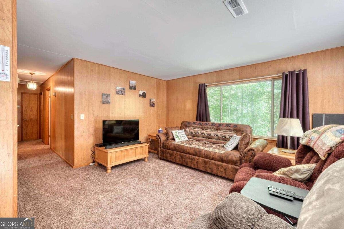 8088 Ivy Log Gap Road Young Harris - 12