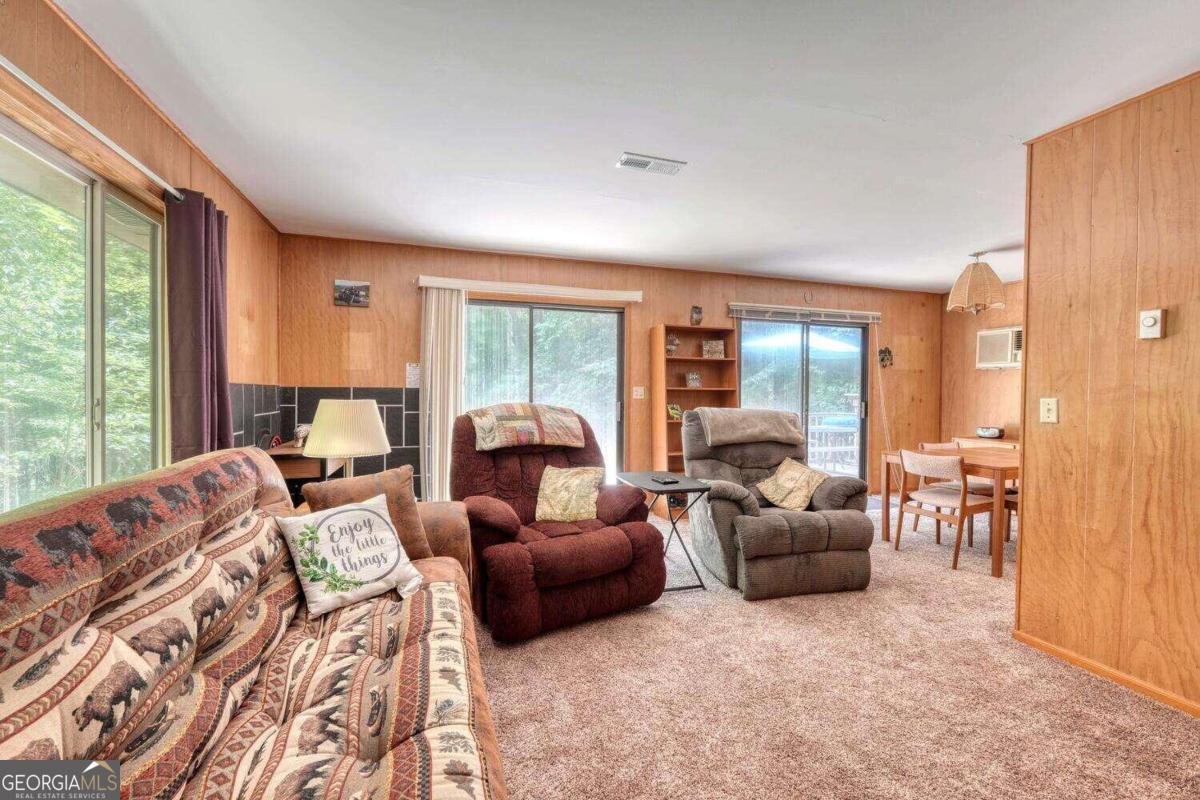 8088 Ivy Log Gap Road Young Harris - 14