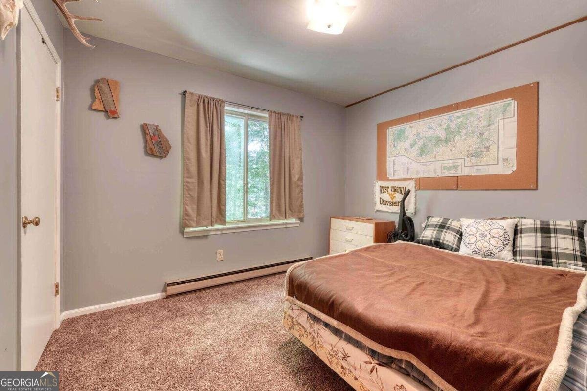 8088 Ivy Log Gap Road Young Harris - 22