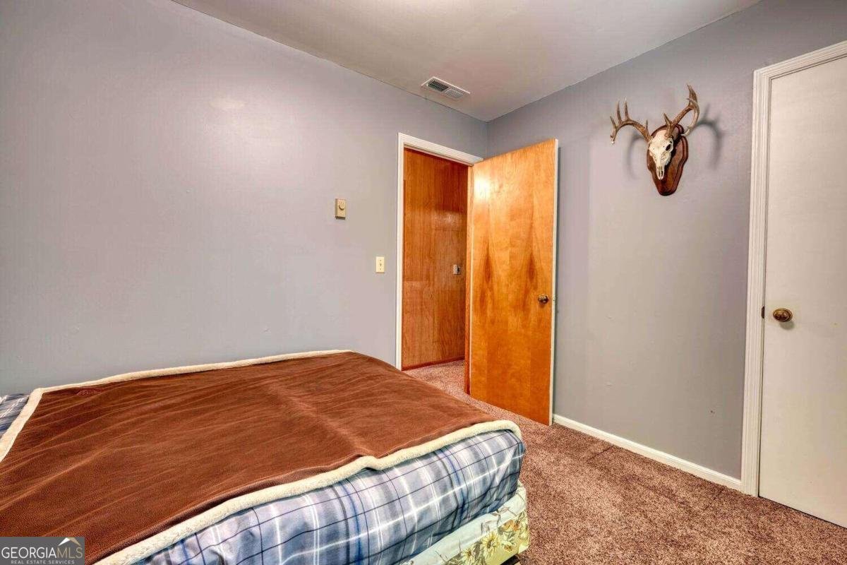 8088 Ivy Log Gap Road Young Harris - 23