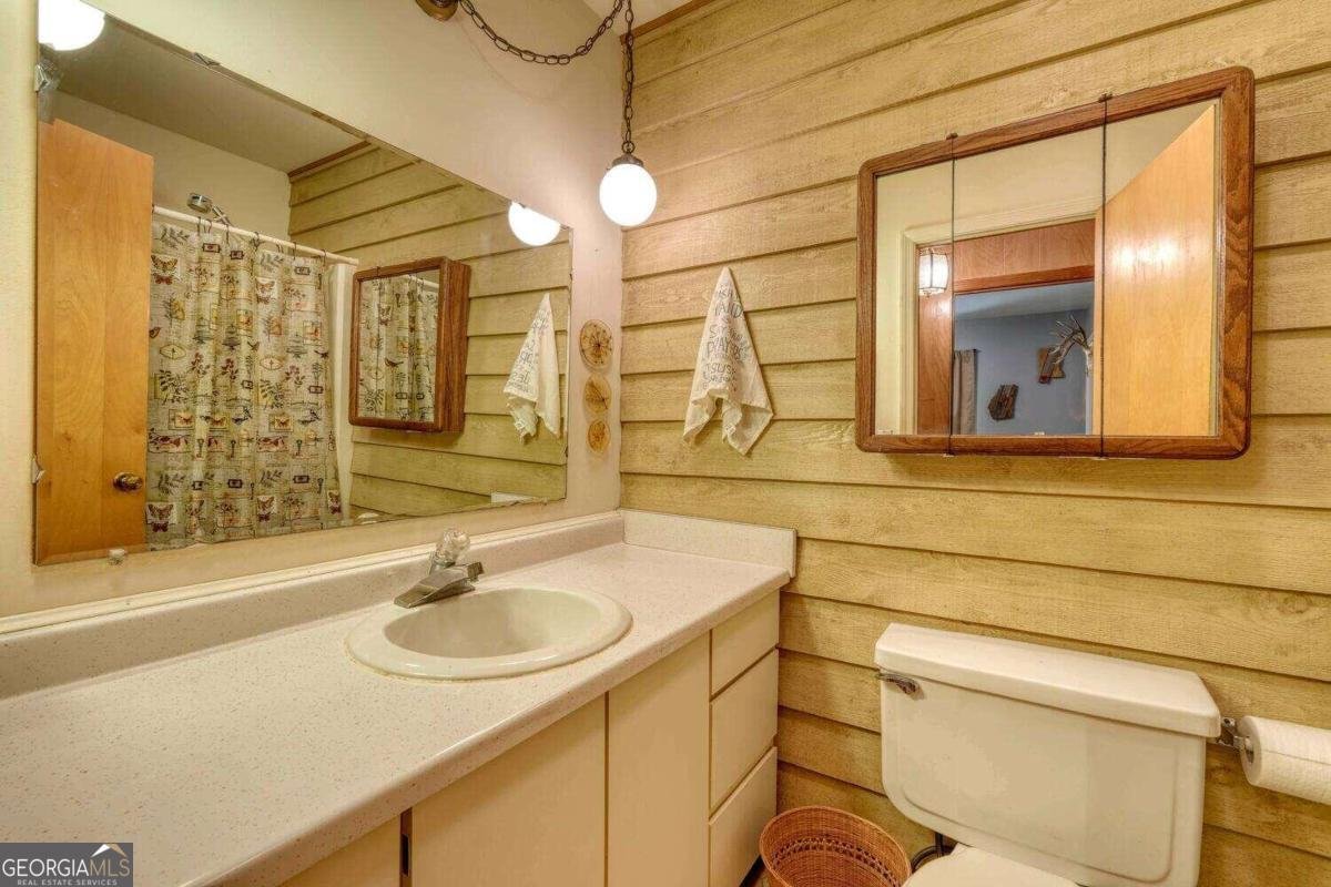 8088 Ivy Log Gap Road Young Harris - 24