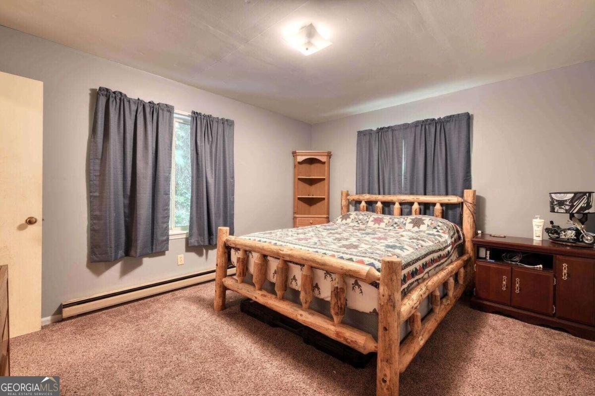 8088 Ivy Log Gap Road Young Harris - 27