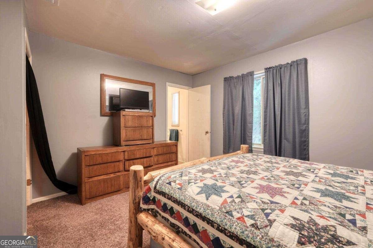 8088 Ivy Log Gap Road Young Harris - 28