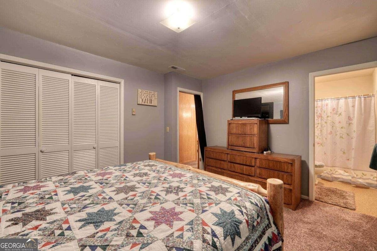 8088 Ivy Log Gap Road Young Harris - 29