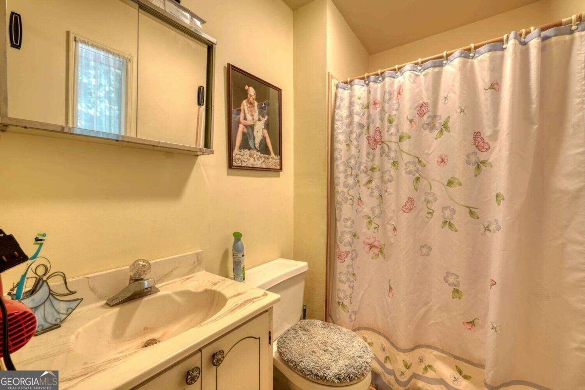 8088 Ivy Log Gap Road Young Harris - 30