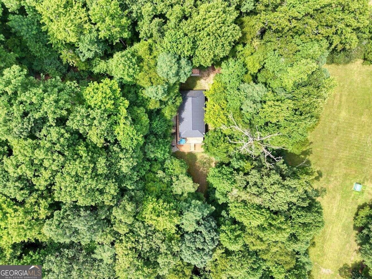 8088 Ivy Log Gap Road Young Harris - 34