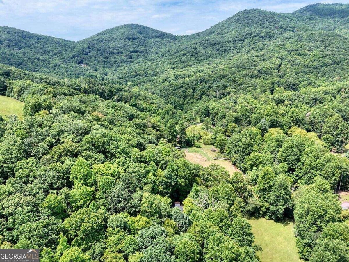 8088 Ivy Log Gap Road Young Harris - 35