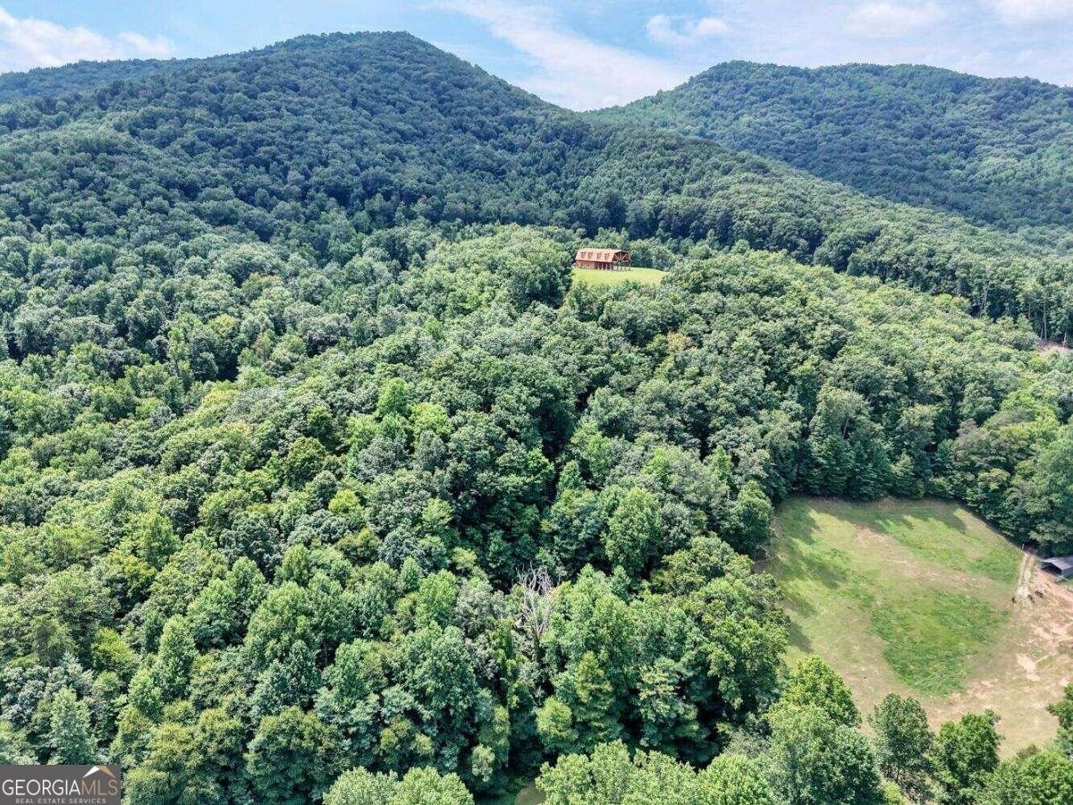 8088 Ivy Log Gap Road Young Harris - 36