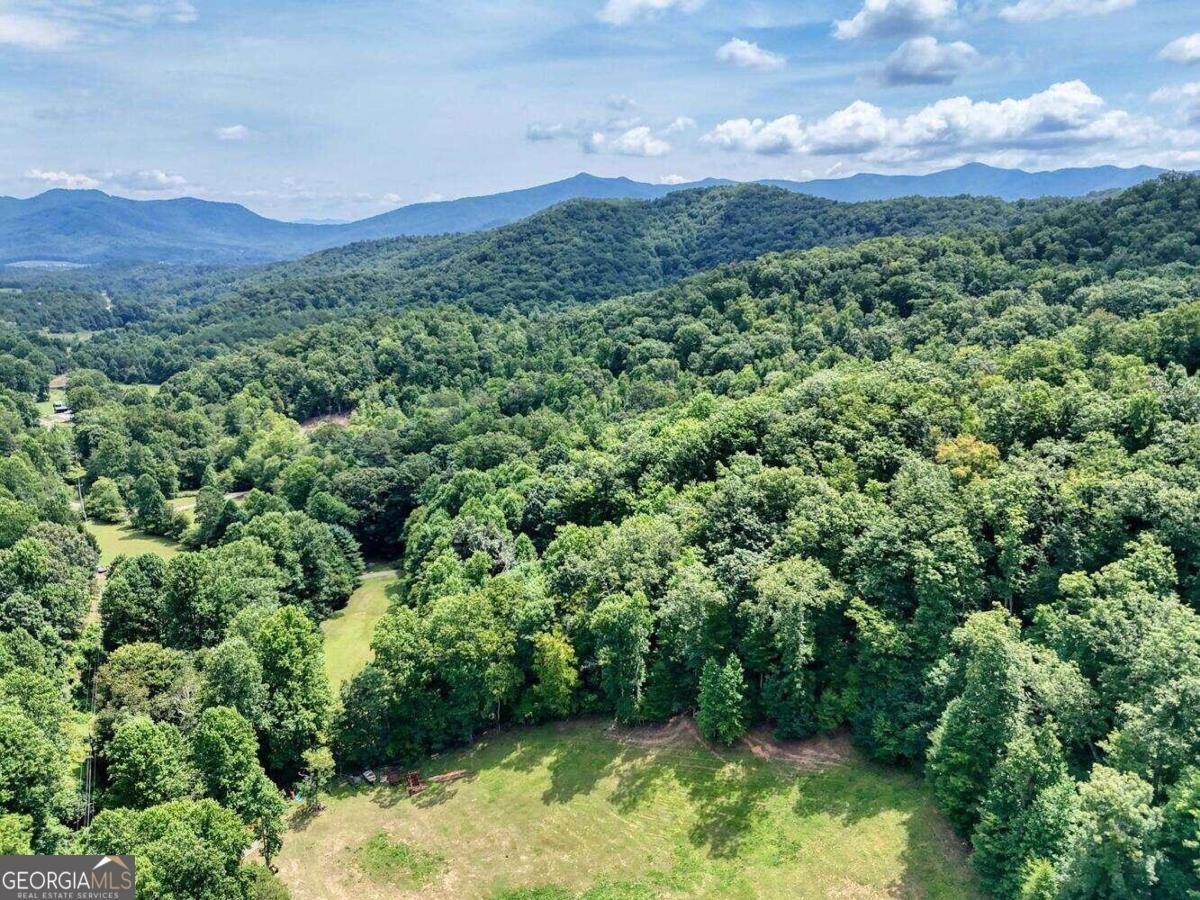 8088 Ivy Log Gap Road Young Harris - 37