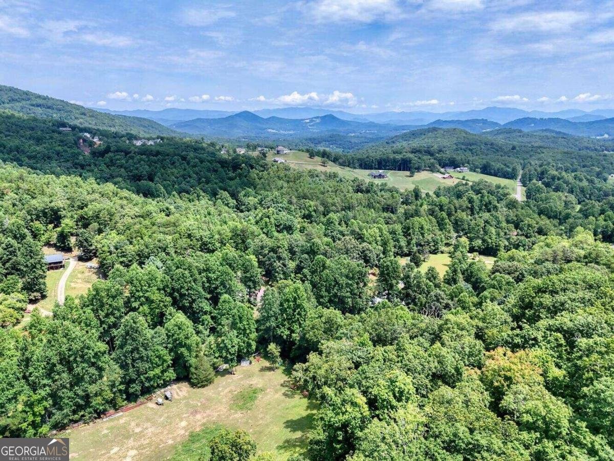 8088 Ivy Log Gap Road Young Harris - 38