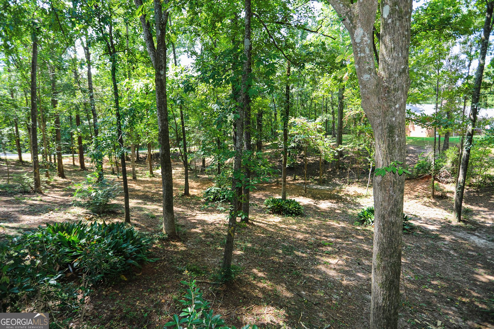 293 Northwoods Drive Fort Valley - 47