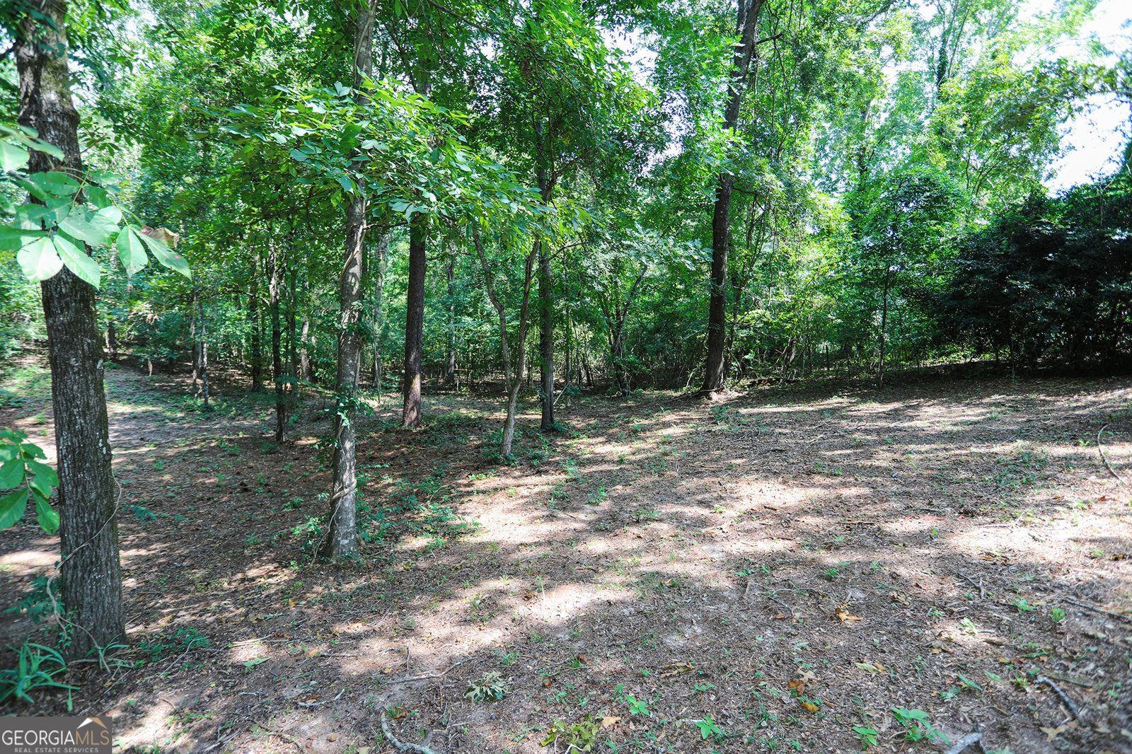 293 Northwoods Drive Fort Valley - 48