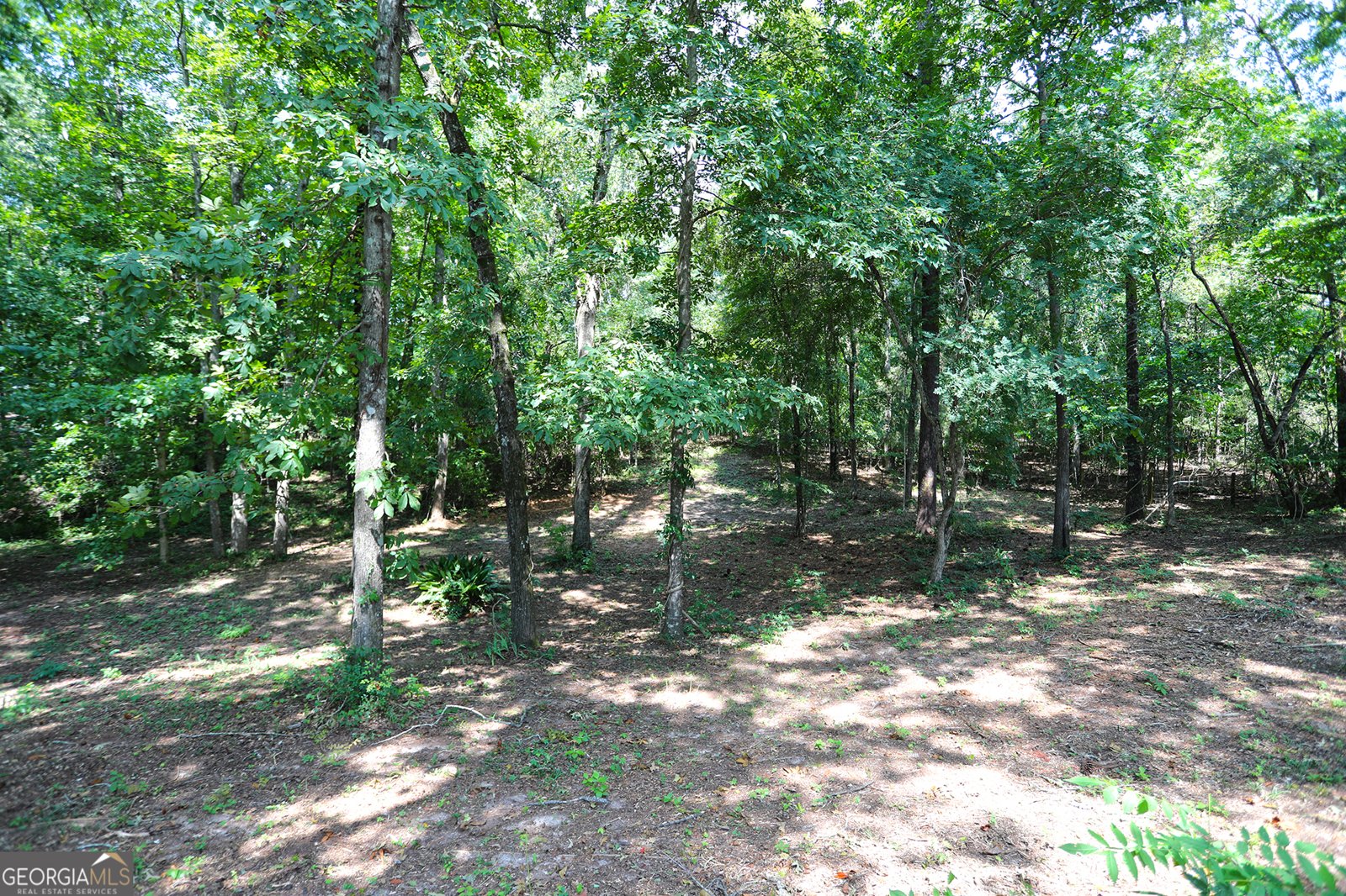 293 Northwoods Drive Fort Valley - 50