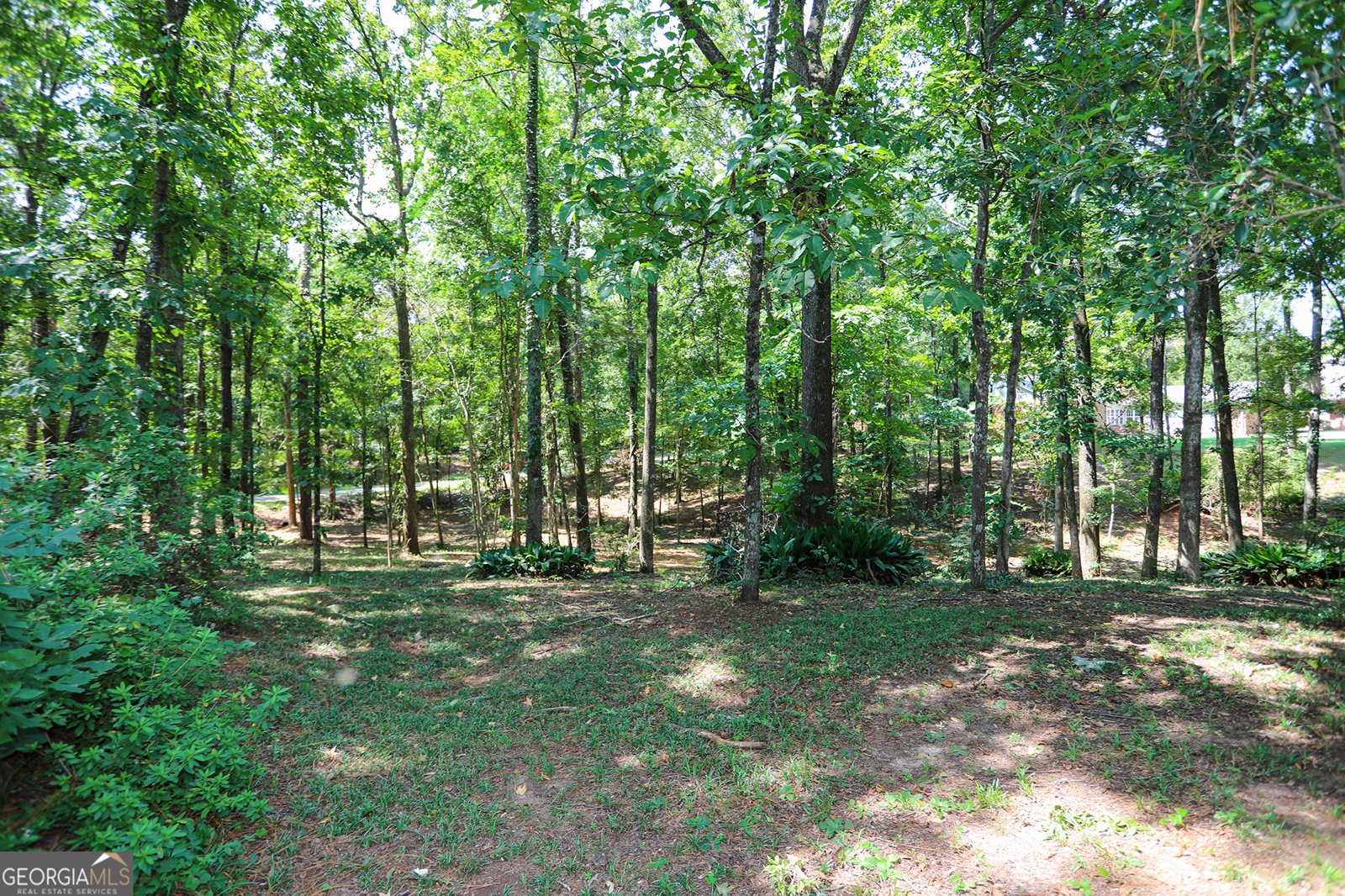 293 Northwoods Drive Fort Valley - 51