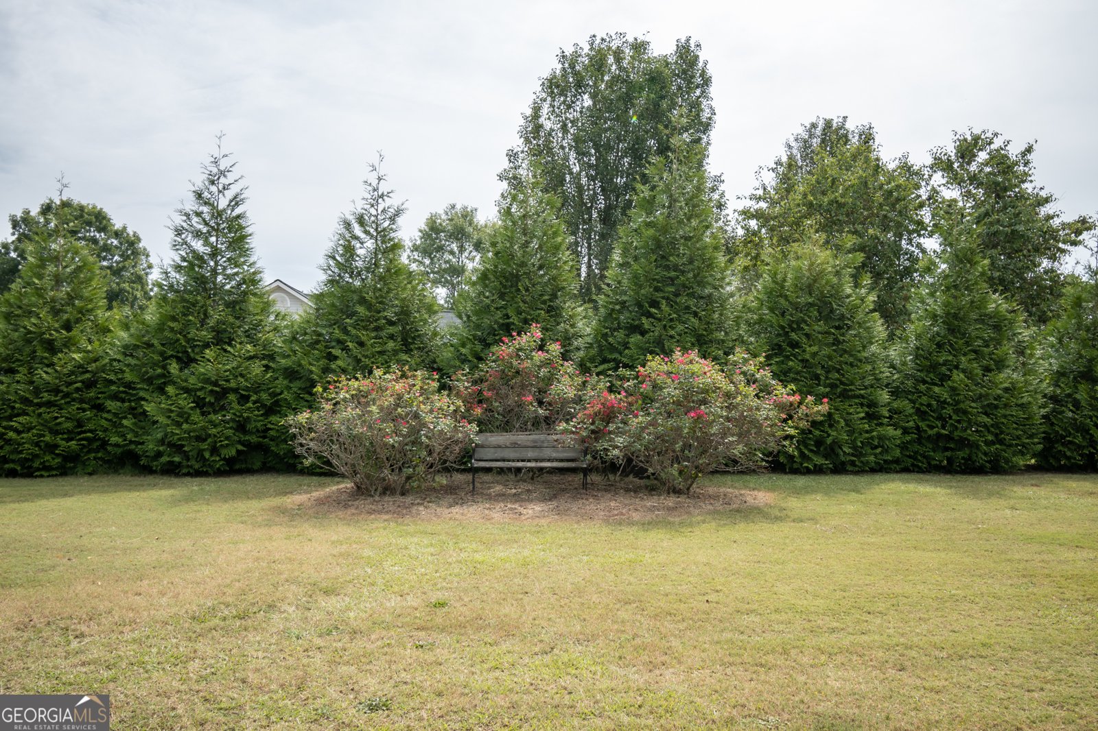 117 Dunbar Place Winterville - 33