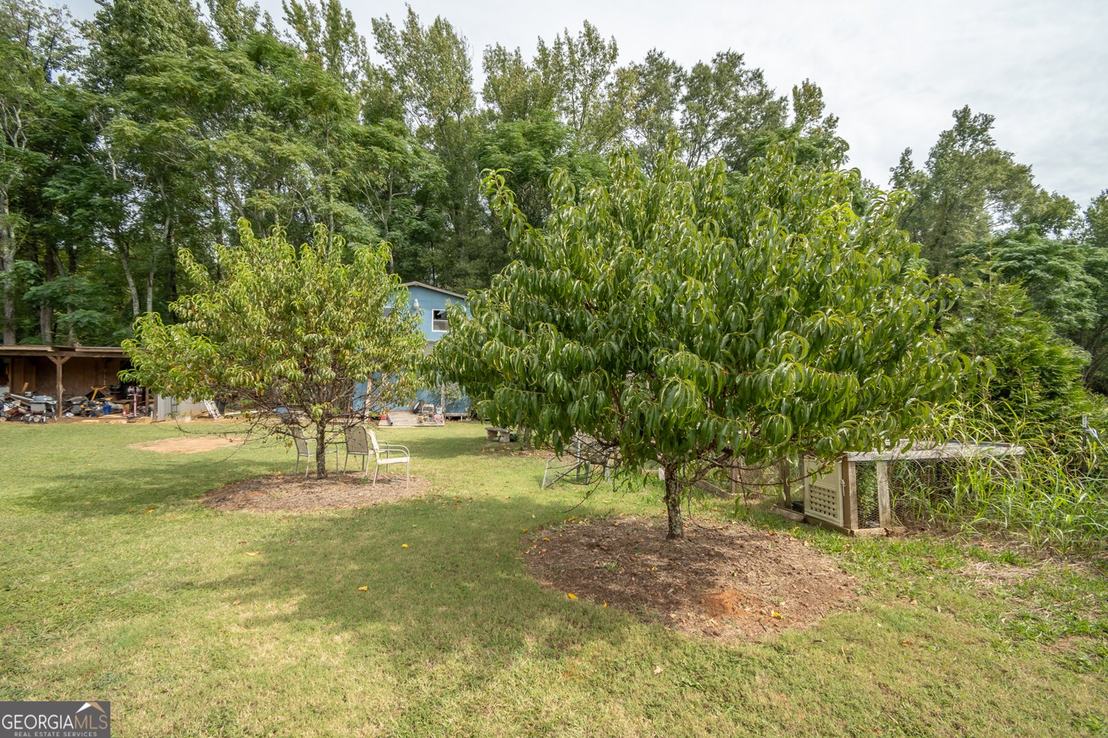 117 Dunbar Place Winterville - 40