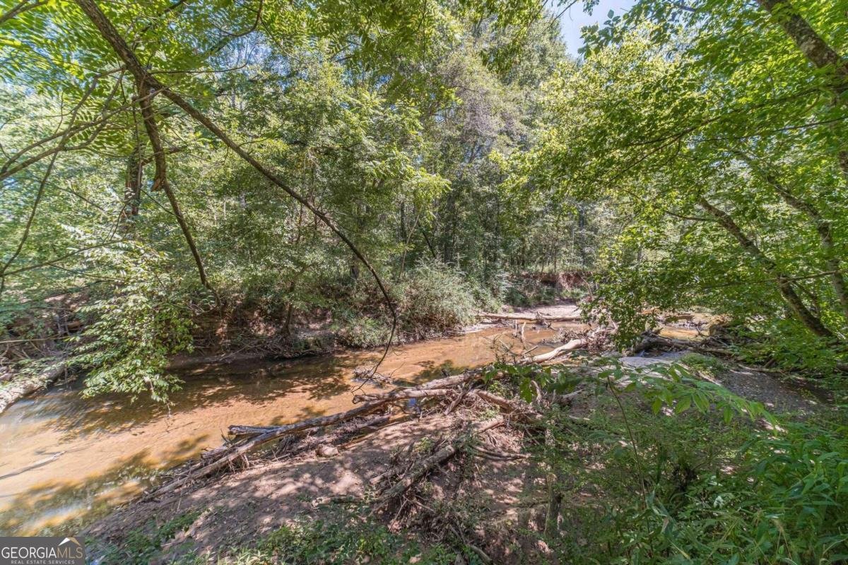 990 Bramlett Shoals Road Lawrenceville - 10