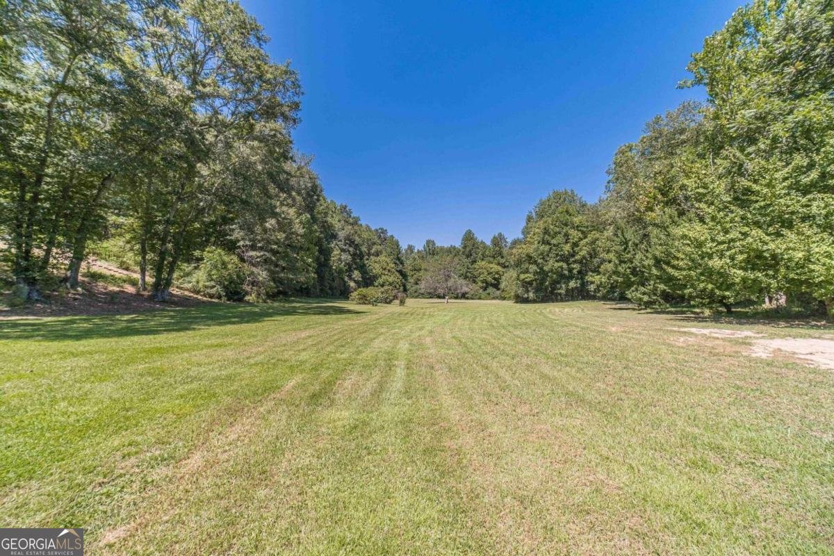 990 Bramlett Shoals Road Lawrenceville - 12