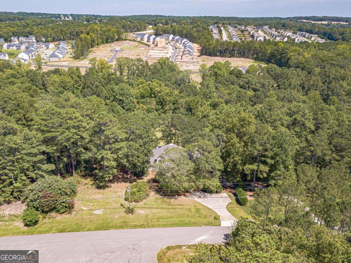 990 Bramlett Shoals Road Lawrenceville - 17