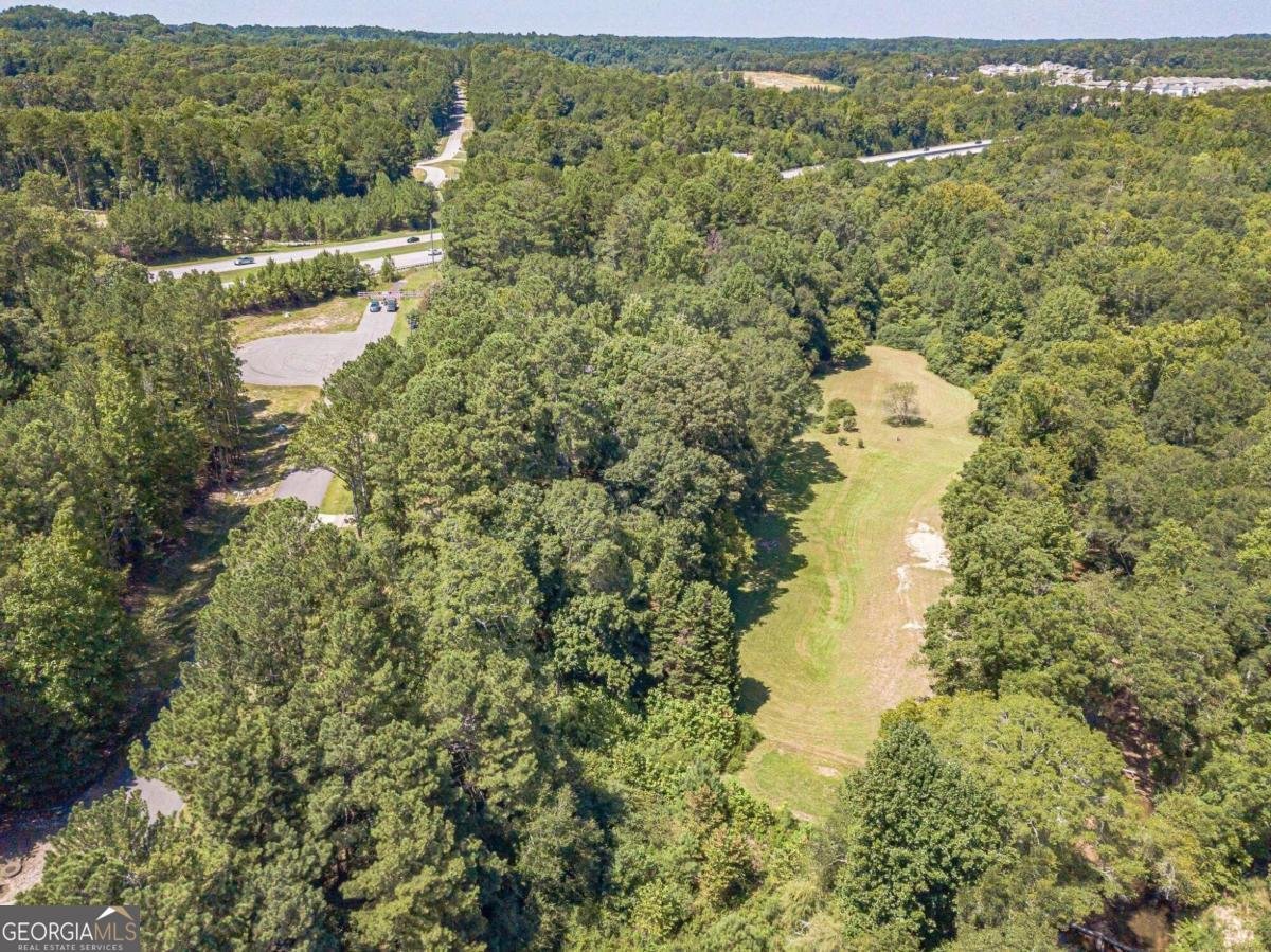 990 Bramlett Shoals Road Lawrenceville - 19