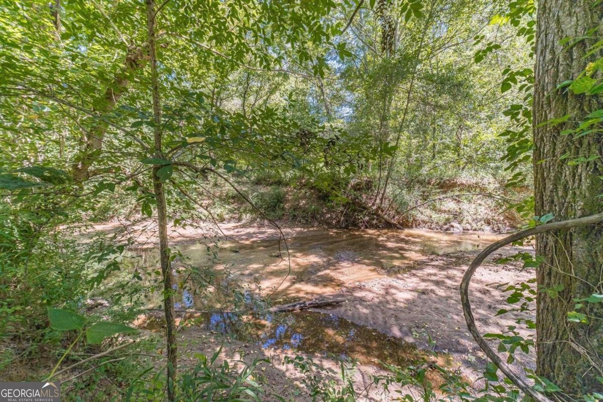 990 Bramlett Shoals Road Lawrenceville - 9