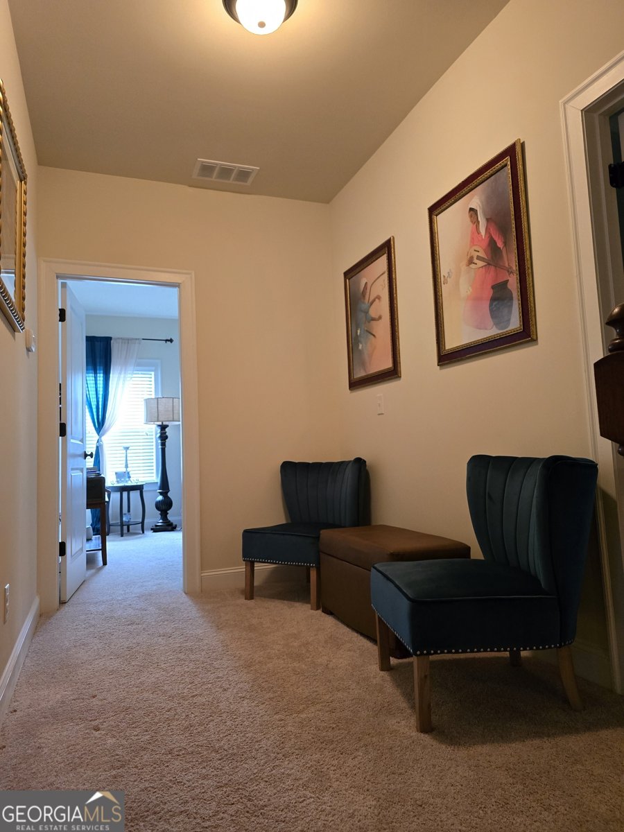 6856 Louis Drive Locust Grove - 19