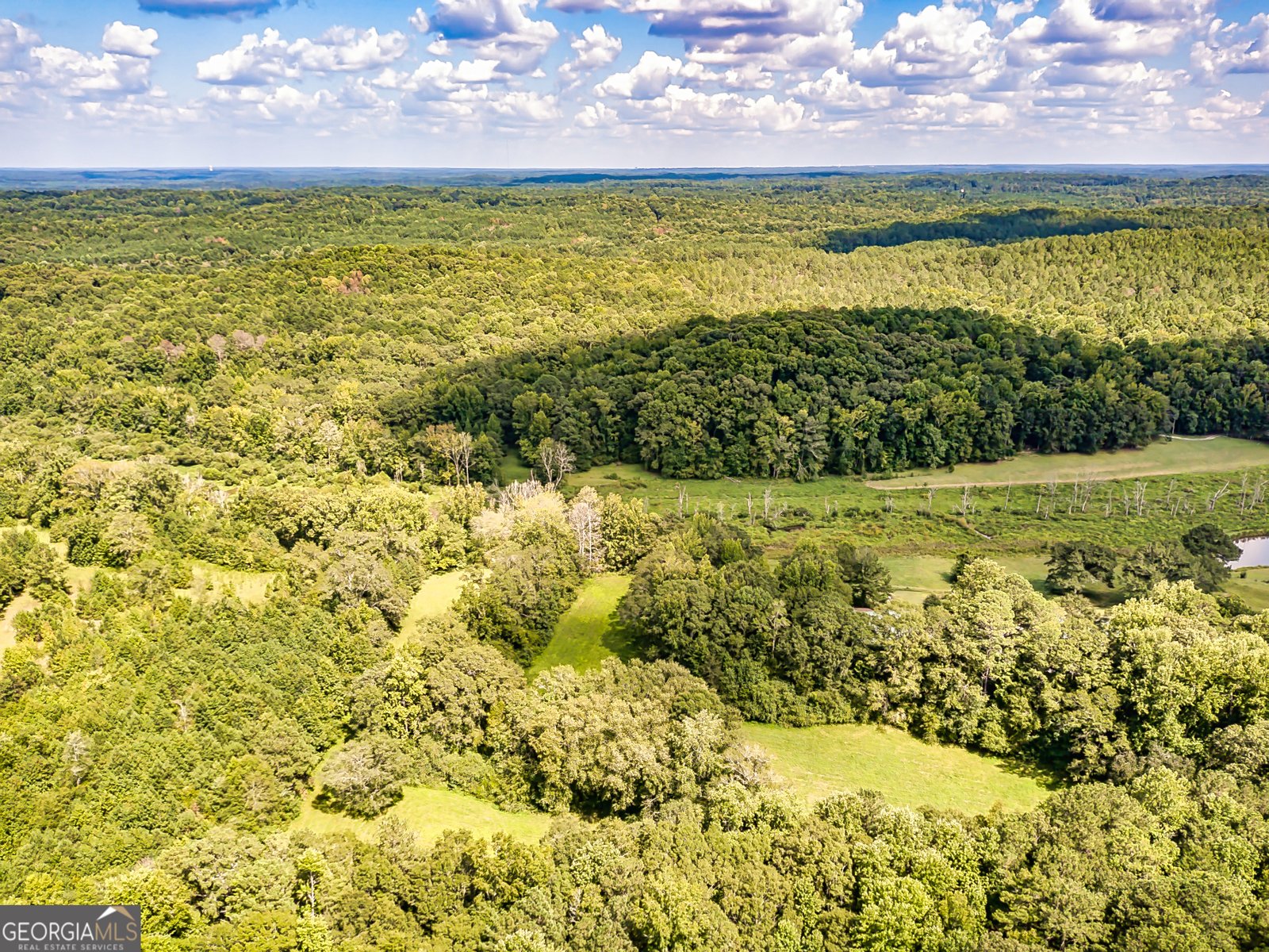 2660 Mount Carmel Road Newnan - 29