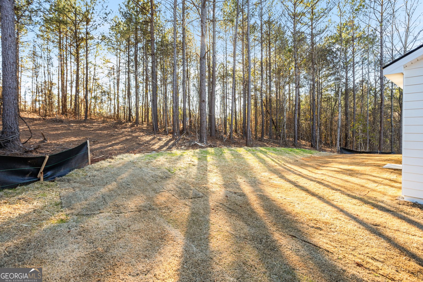 707 Jasmine Drive Macon - 49
