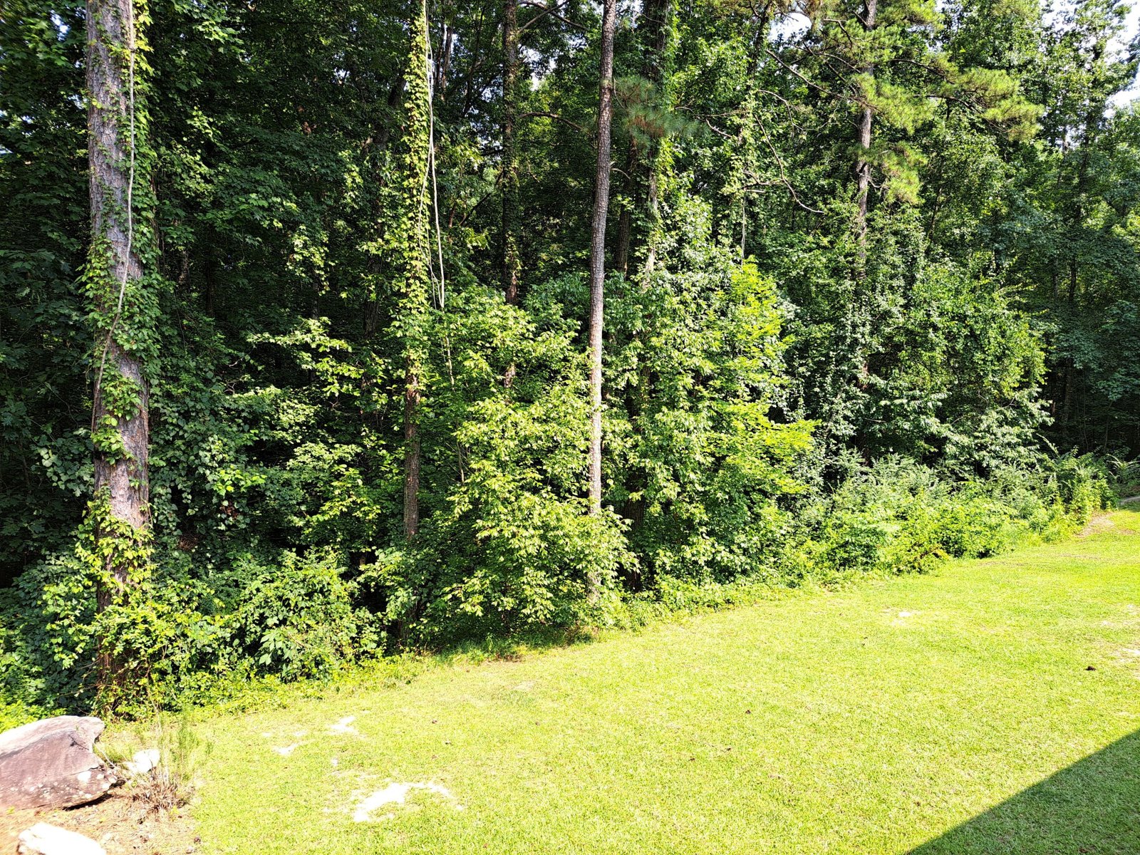 7505 Hall Road Fairburn - 20