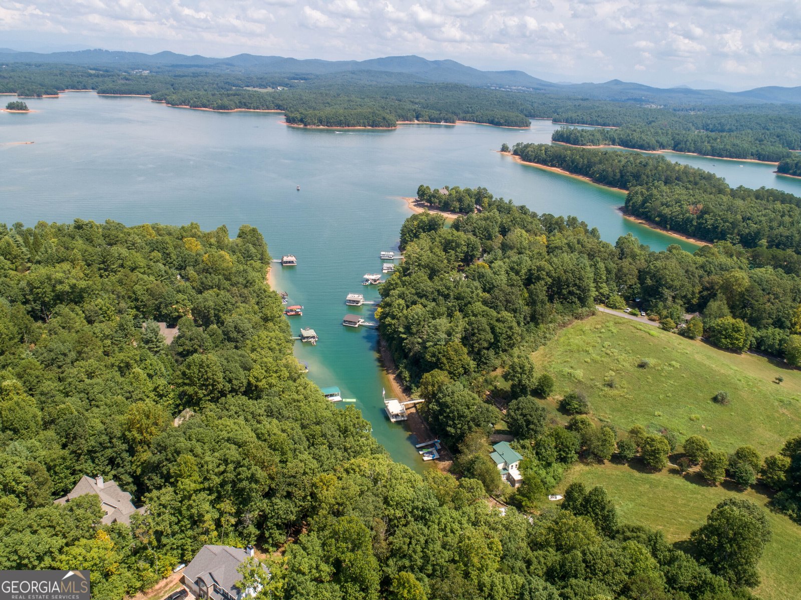 199 Colonsay Trace Blairsville - 50