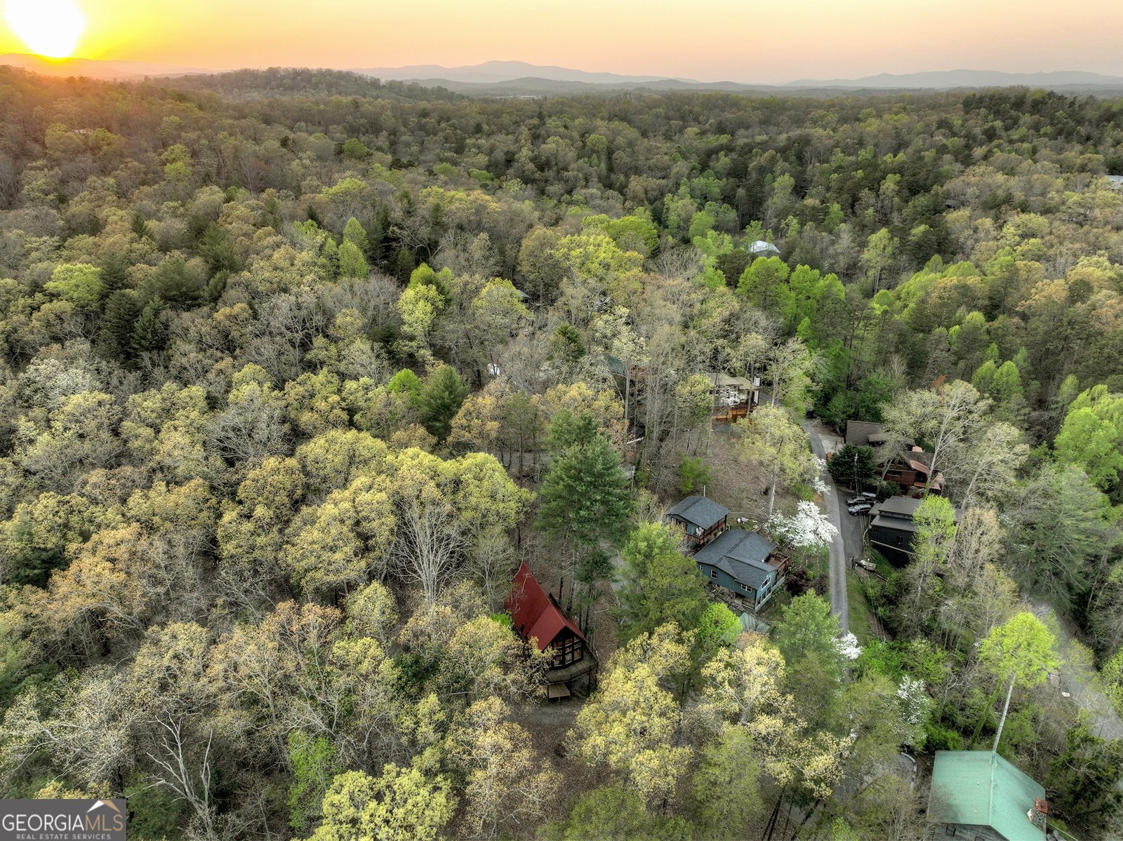 61 Woodstock Drive Blue Ridge - 49