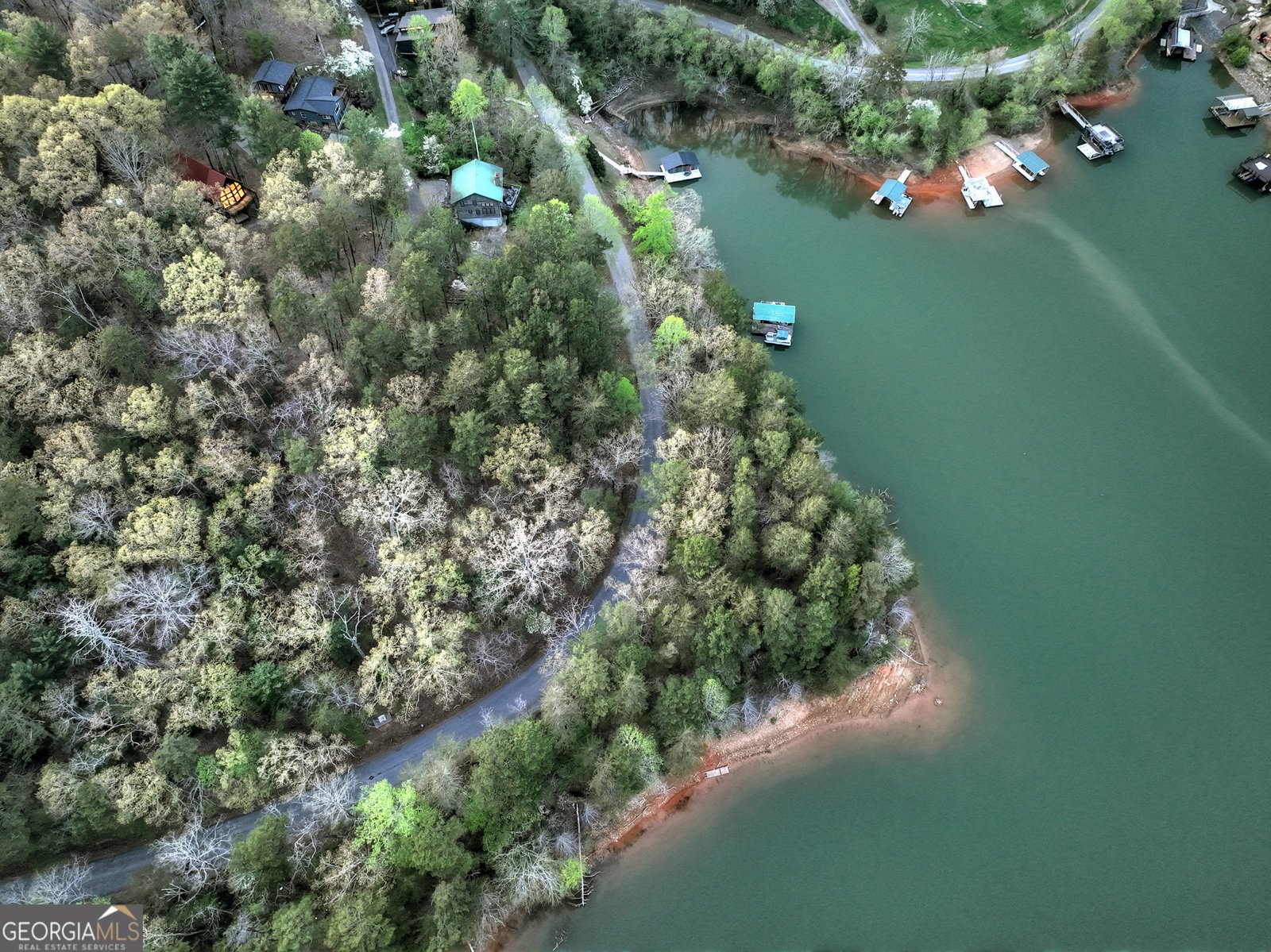 61 Woodstock Drive Blue Ridge - 59